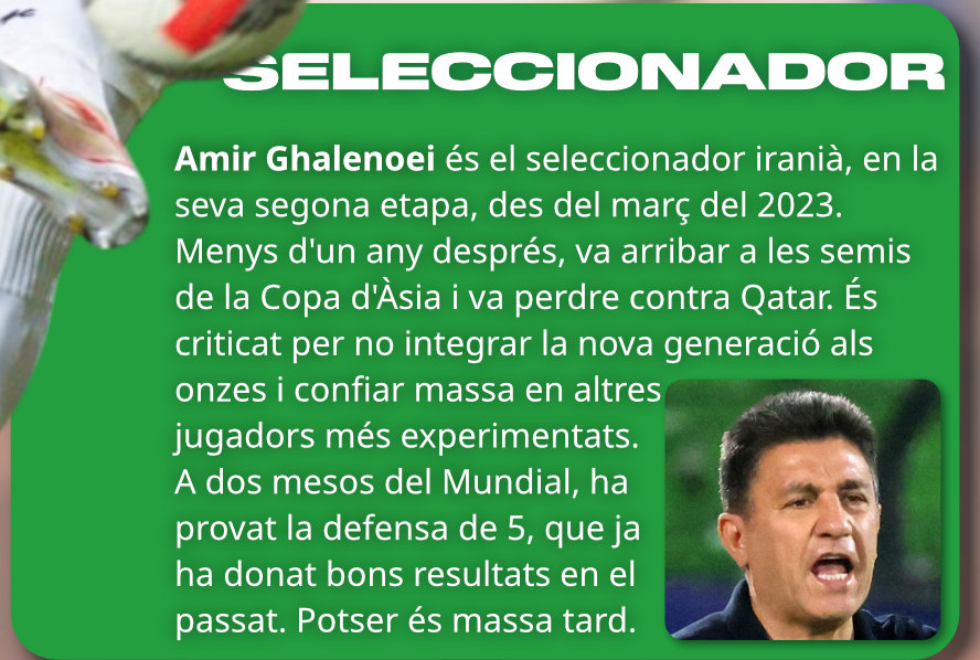 GUIA MUNDIAL 2026: IRAN image