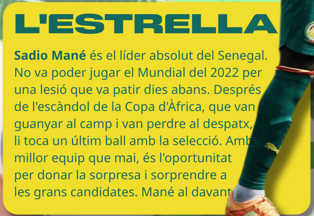 GUIA DEL MUNDIAL: SENEGAL image