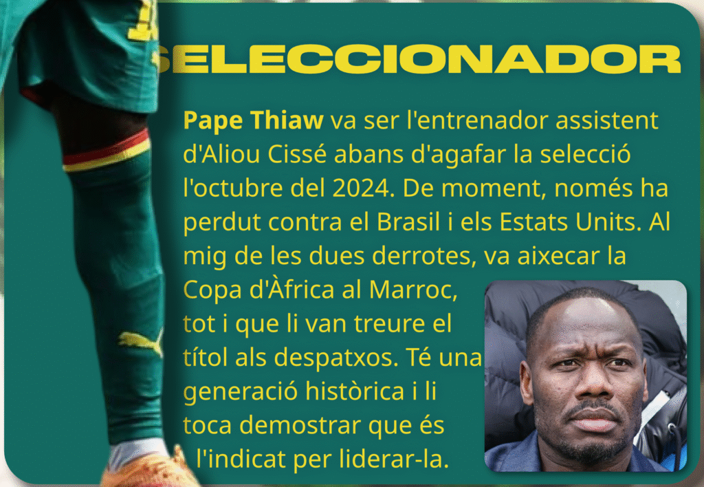 GUIA DEL MUNDIAL: SENEGAL image